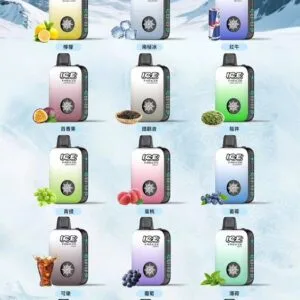 ICE 10,000 酷涼進化 自定義冷冽層次 3% 絲滑擊喉感 850mAh 大電量可充電 獨家涼度調節設計 Mesh 芯擊喉感超順暢 台灣現貨