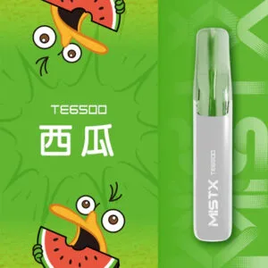 Mist X 鴨嘴獸 超萌造型 6500 口抽超久 冰爽水果口味 涼感入喉 可充電設計不怕沒電 質感玩家的潮流補給 台灣現貨